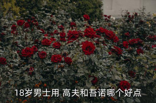 高夫适合什么年龄段,高夫属于什么年龄段