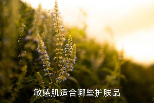敏感肌适合哪些护肤品