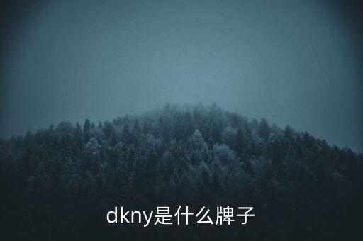 如何分辨真假DkNY包,DKNY香水底部的批号呢？
