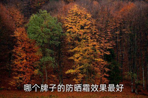 哪个牌子的防晒霜效果最好