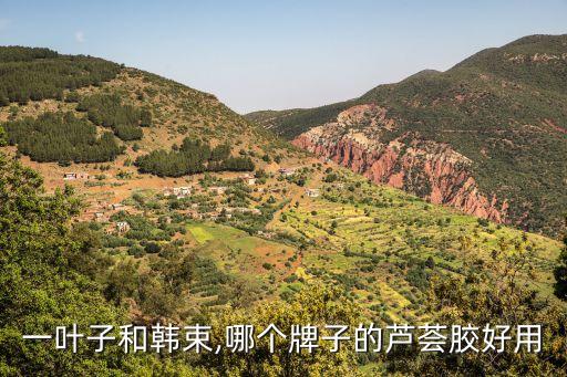 一叶子韩束哪个系列好,叶子和Kans哪个效果更好？