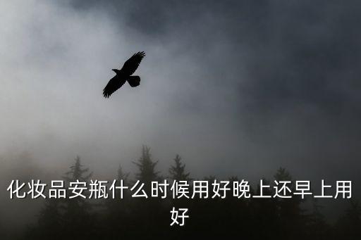 化妆品安瓶什么时候用好晚上还早上用好