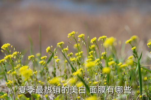 熊津氧气面膜怎么样,skin79氧气泡沫面膜怎么样