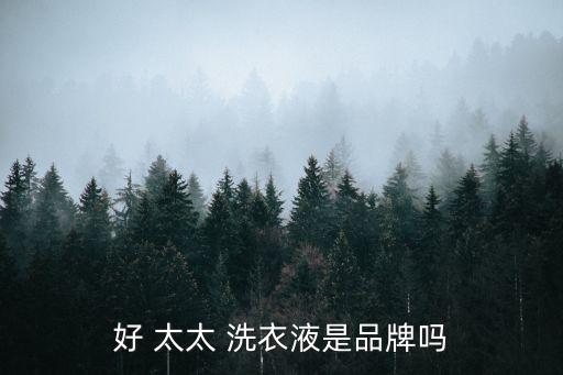 好太太贝舒婷洗衣液怎么样,贝舒婷洗衣液质量怎么样