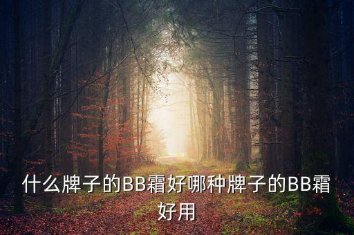 什么牌子的BB霜好哪种牌子的BB霜好用