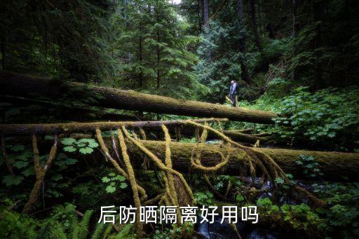 后防晒隔离好用吗