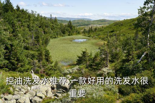 欧莱雅透明质酸水润洗发露怎么打开,透明质酸水润洗发露怎么样