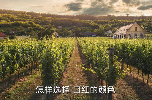 口红什么颜色比较自然,什么口红颜色适合日常素颜