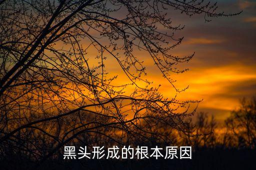 黑头形成的根本原因