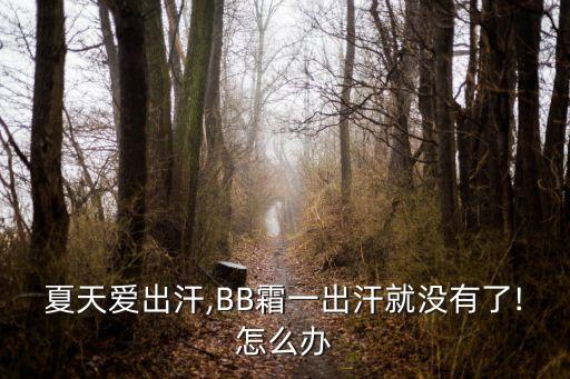 夏天爱出汗,BB霜一出汗就没有了!怎么办
