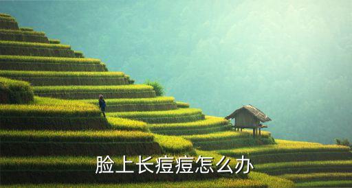 脸上长痘痘怎么办