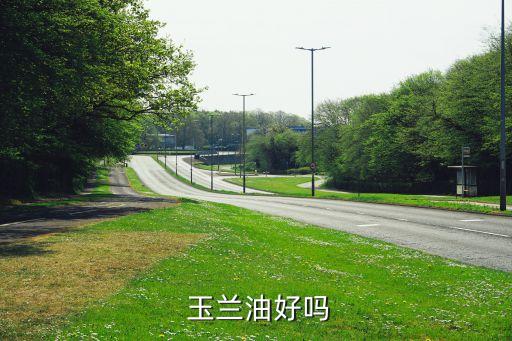  玉兰油好吗