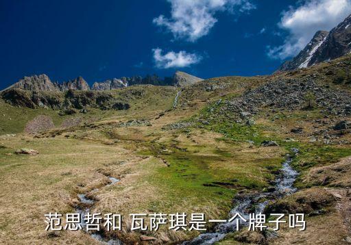 范思哲和 瓦萨琪是一个牌子吗