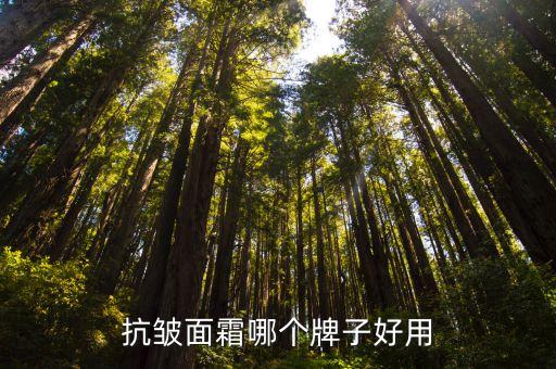 抗皱面霜哪个牌子好用