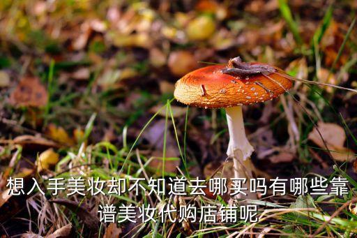 想入手美妆却不知道去哪买吗有哪些靠谱美妆代购店铺呢