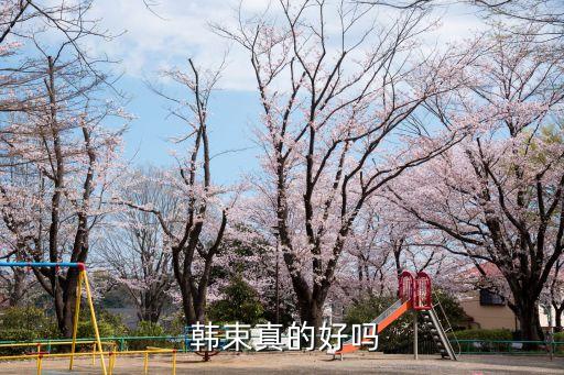  韩束真的好吗