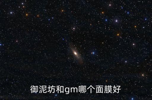 御泥坊和gm哪个面膜好