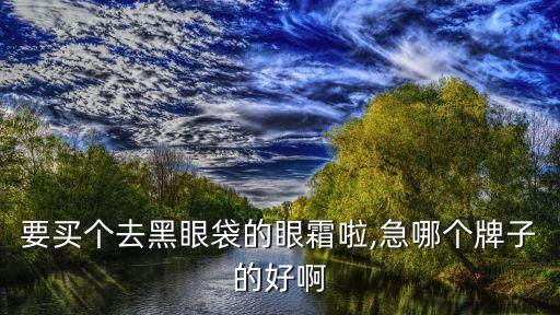要买个去黑眼袋的眼霜啦,急哪个牌子的好啊