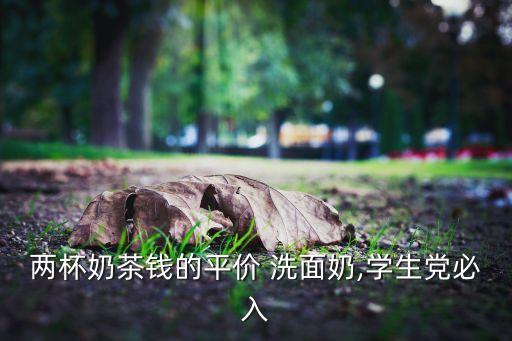 两杯奶茶钱的平价 洗面奶,学生党必入