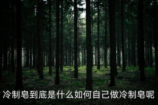 冷制皂到底是什么如何自己做冷制皂呢