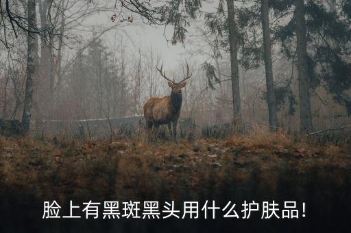 eb化妆品是什么牌子的,eb足银999是什么牌子