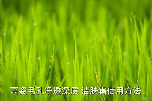高姿毛孔净透深层 洁肤霜使用方法