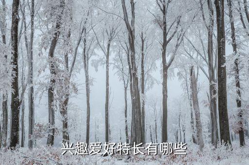 兴趣爱好特长有哪些