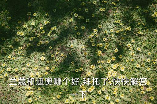 兰蔻和迪奥哪个好,拜托了,快快解答一下