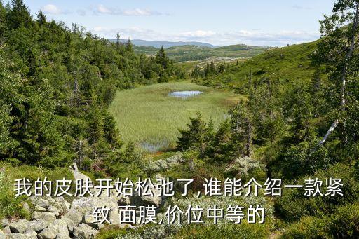 我的皮肤开始松弛了,谁能介绍一款紧致 面膜,价位中等的