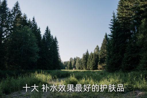 十大 补水效果最好的护肤品