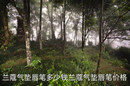 兰蔻气垫唇笔多少钱兰蔻气垫唇笔价格