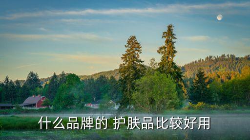 什么品牌的 护肤品比较好用