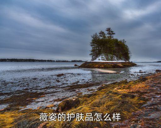 薇姿的护肤品怎么样