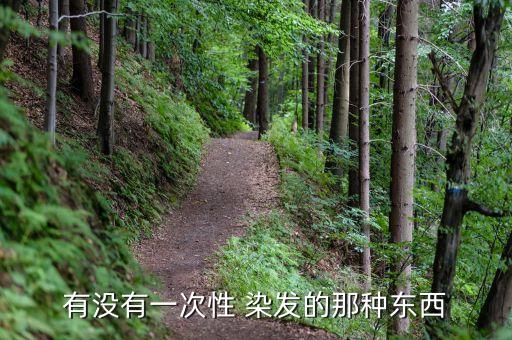 有没有一次性 染发的那种东西