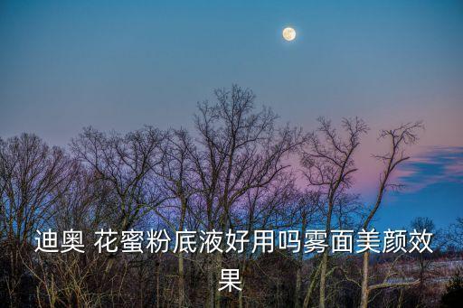  迪奥 花蜜粉底液好用吗雾面美颜效果