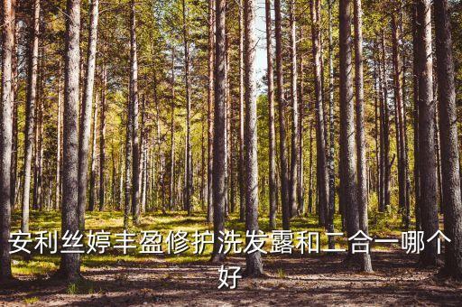 安利丝婷丰盈修护洗发露和二合一哪个好
