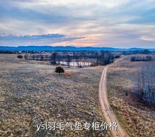圣罗兰粉底价格多少