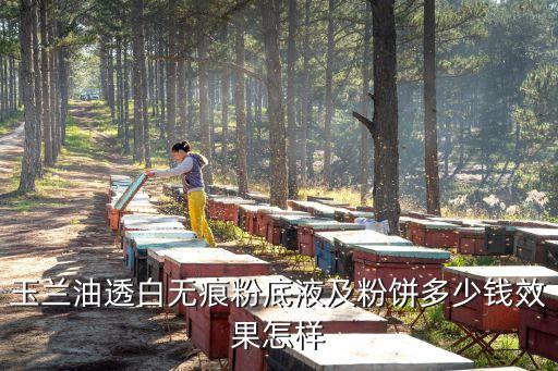 玉兰油透白无痕粉底液及粉饼多少钱效果怎样