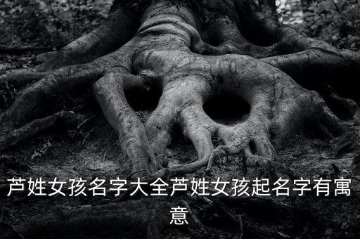 芦姓女孩名字大全芦姓女孩起名字有寓意