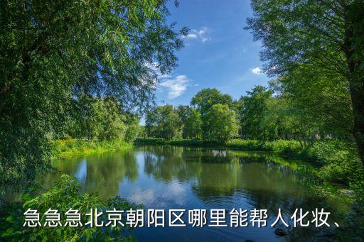 急急急北京朝阳区哪里能帮人化妆、