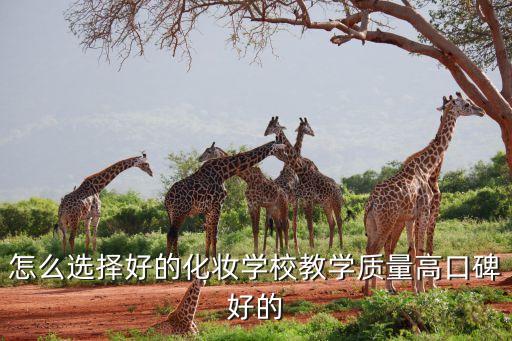 小燕子国际美妆怎么样