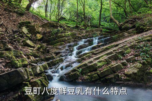 豆町八度鲜豆乳有什么特点
