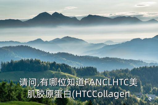 请问,有哪位知道FANCLHTC美肌胶原蛋白(HTCCollagen