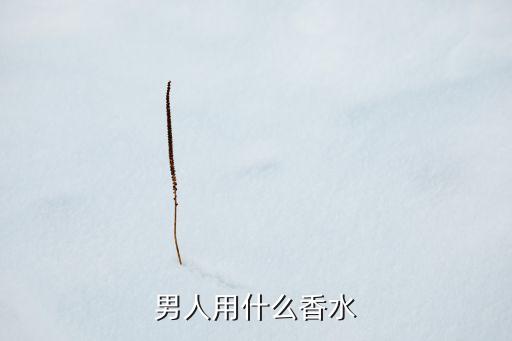 男人用什么香水