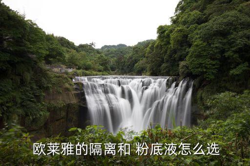 泰国欧莱雅粉底霜多少钱,欧莱雅粉底霜201和202