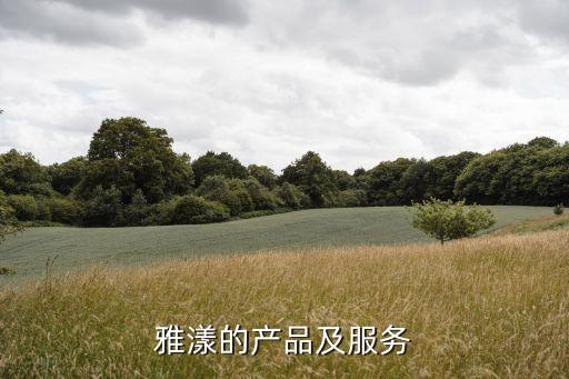 雅漾的产品及服务
