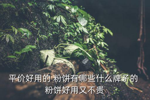 平价好用的 粉饼有哪些什么牌子的 粉饼好用又不贵