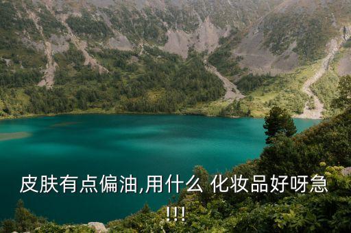 皮肤有点偏油,用什么 化妆品好呀急!!!