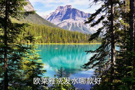 萃植精洗发水怎么样,cuzin 萃植精洗发水怎么样