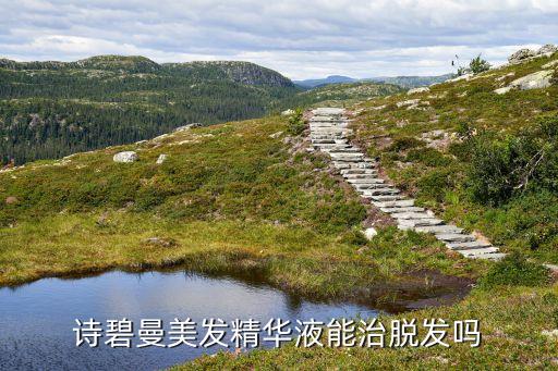 诗碧曼美发精华液能治脱发吗